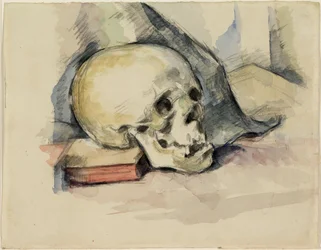Schädel und Buch, ca. 1885